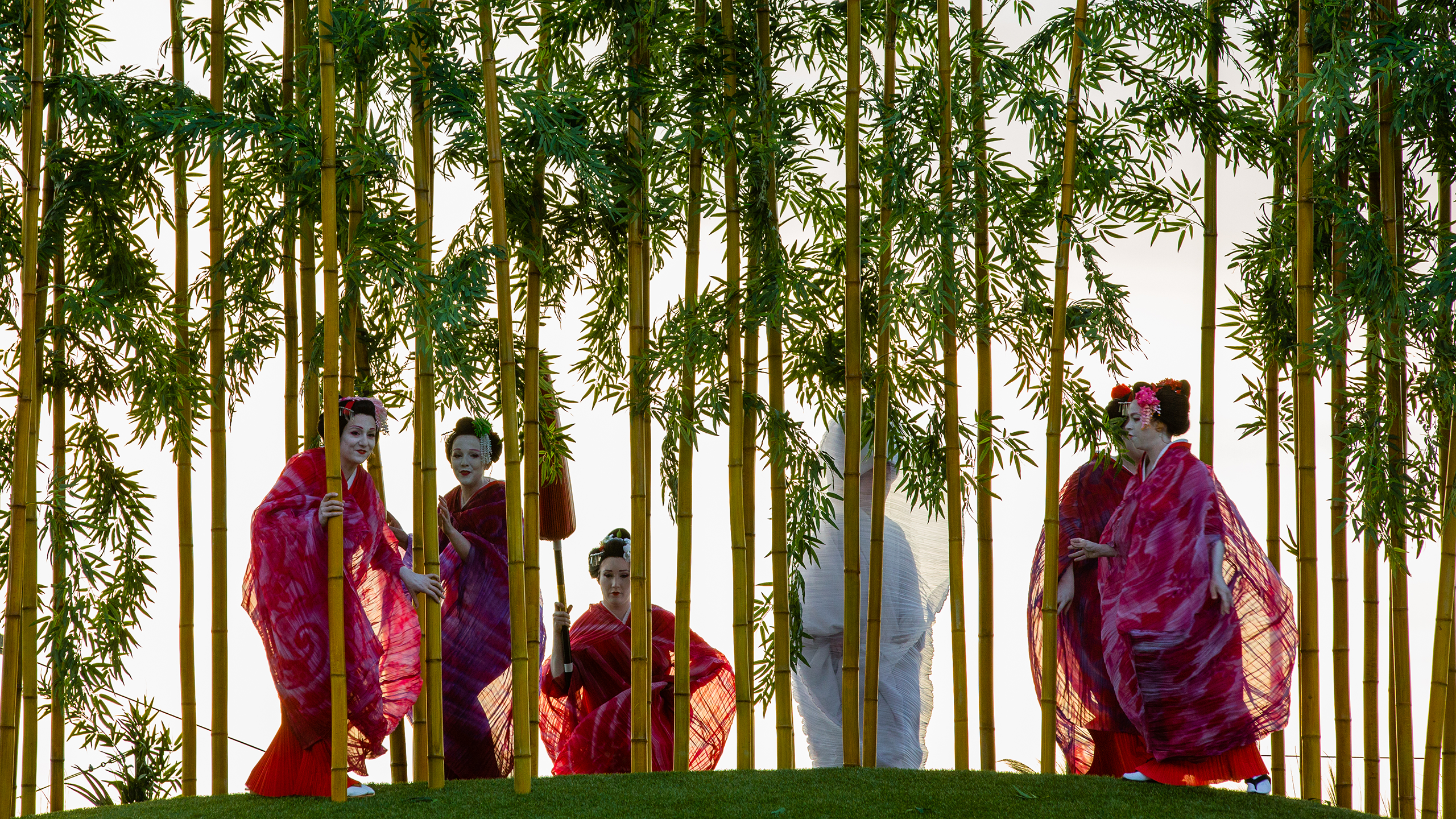 Singers in pink kimonos look out from a forest of bamboo trees in a performance of Madama Butterfly on Sydney Harbour.